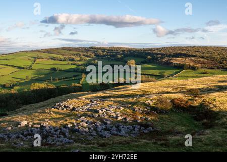 Gebiet des Kalksteinpflasters bei Newbiggin Crags in der Nähe von Burton-in-Kendal, Cumbria, England. Stockfoto