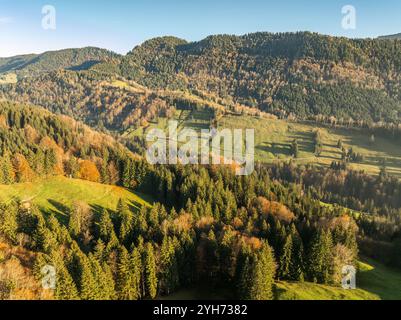 Aus der Vogelperspektive eines herbstlichen Mischwaldes mit bunten Blättern in den Allgäuer Alpen. Bayern, Deutschland Stockfoto