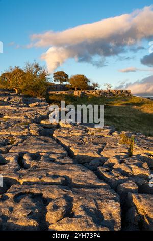 Gebiet des Kalksteinpflasters bei Newbiggin Crags in der Nähe von Burton-in-Kendal, Cumbria, England. Stockfoto