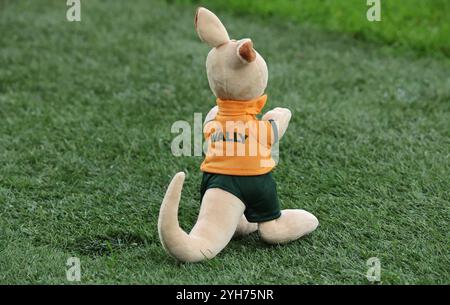 London, Großbritannien. November 2024. Australisches Maskottchen WALLY während der Autumn Nations Series Between England gegen Australien (Wallabies) im Allianz Stadion, Twickenham, London am 9. November 2024 Credit: Action Foto Sport/Alamy Live News Stockfoto