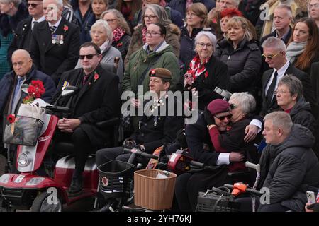 Militärveteranen und Gäste während der Gedenkfeier am Sonntag im National Memorial Arboretum, Alrewas, Staffordshire. Bilddatum: Sonntag, 10. November 2024. Stockfoto