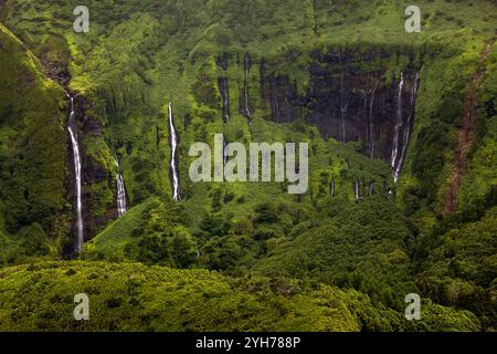 Auf Flores Island auf den Azoren fallen die Wasserfälle Ribeira do Ferreiro und Ribeira Grande wie ein majestätischer Vorhang über eine fast senkrechte Klippe hinunter Stockfoto