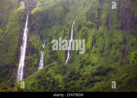 Auf Flores Island auf den Azoren fallen die Wasserfälle Ribeira do Ferreiro und Ribeira Grande wie ein majestätischer Vorhang über eine fast senkrechte Klippe hinunter Stockfoto