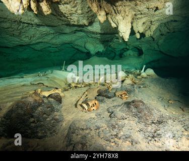 Höhle der toten Schildkröten Stockfoto