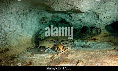 Höhle der toten Schildkröten Stockfoto