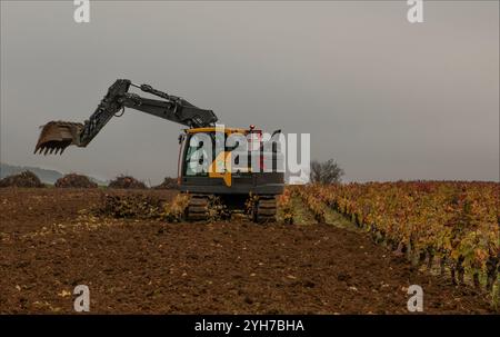 Cote d'Or, Burgund, Frankreich - 24. Oktober 2024 - angepasste Maschinen zur Rodung der Rebstöcke in einem Weinberg im Burgund Stockfoto