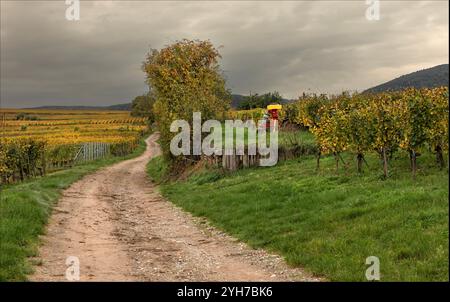 Haut-Rhin, Elsass, Frankreich - 18. Oktober 2024 - in den Weinbergen nach der Ernte verwendete Ausrüstung in kleinem Maßstab Stockfoto