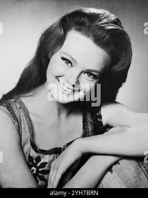 KATHARINE HOUGHTON Porträt in GUESS WHO's COMING TO DINNER 1967 Regisseur STANLEY KRAMER Autor William Rose Music Frank de Vol Stanley Kramer Productions / Columbia Pictures Stockfoto