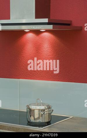 Moderne Küchenzeile mit Wandschrank, Unterschrank, Dunstabzugshaube, Waschbecken und Cerankochfeld, Bundesrepublik Deutschland Stockfoto