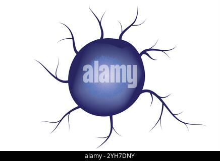 Eine spezielle Art von Immunzellen, die in Geweben, wie der Haut, gefunden wird und die Immunreaktionen stärkt, indem sie Antigene auf der Oberfläche anderer Zellen zeigen Stock Vektor