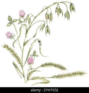 Aquarell zarte Wiesenblüten und Weizenstrauß Illustration, handgezeichnetes Feld Pflanze Clipart, Flora Arrangement Stockfoto