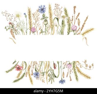 Aquarell zarte Wiesenblumen und Weizenrahmen Illustration, handgezeichnete Feldpflanzengrenze, Wildblumenanordnung Stockfoto