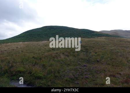 Lone man (Wanderer) spaziert durch Ferns/Bracken zum Gipfel von 'Round How' nahe Dockray' im Lake District National Park, Cumbria, England, Großbritannien Stockfoto