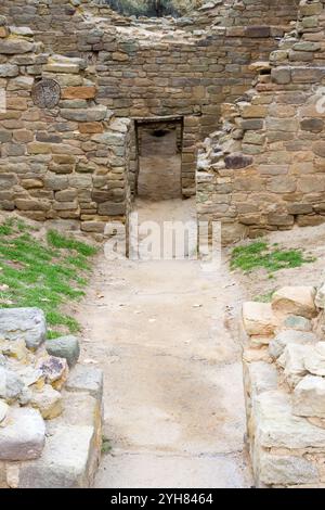 Ein Fußweg führt zu den Zimmern in den Ruinen des Aztec Ruins National Monument, New Mexico. Stockfoto