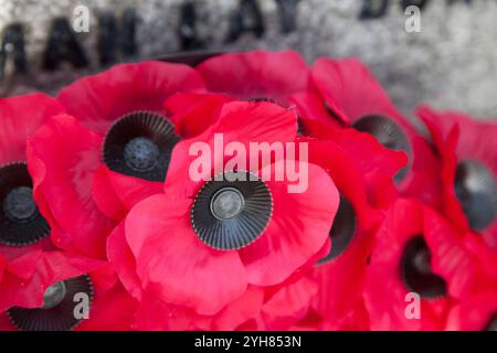 Rote Mohnkränze für den Gedenksonntag, Rhu, Schottland Stockfoto