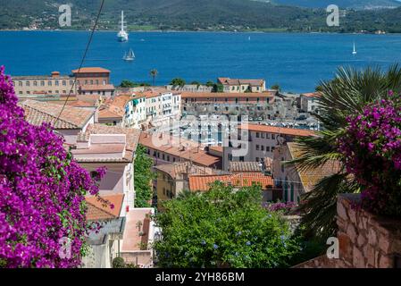 Weißes Yawl-Segelboot im Golf von Portoferraio sehen wir das Stadtzentrum, seinen Hafen und Boote mit lila Blumen im Sommer im Vordergrund Stockfoto