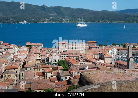 Eine Möwe auf einem trockenen Grasfeld, im Hintergrund befindet sich der Golf von Portoferraio mit seinem blauen Wasser und ein großes Schiff, das segelt Stockfoto