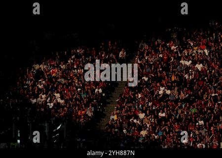 Roma, Italien. November 2024. Fans beim EniLive-Fußballspiel der Serie A zwischen Roma und Bologna im Olympiastadion in Rom, Italien - Sonntag, 10. November 2024 - Sport Soccer ( Foto: Alfredo Falcone/LaPresse ) Credit: LaPresse/Alamy Live News Stockfoto