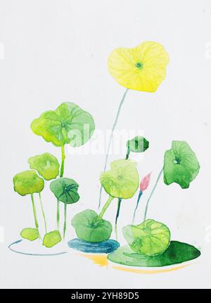 Handgemalte Aquarellmalerei mit Blättern von Nelumbo nucifera, heiligem Lotus, indischem Lotus, Lotus, Wasserpflanze. Oft Wasserlilie genannt, Stockfoto