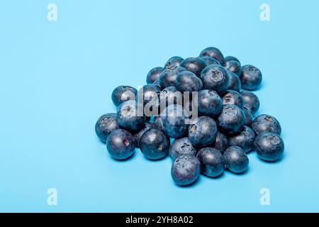 Frische Handvoll Heidelbeeren auf blauem Hintergrund. Stockfoto