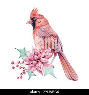 Aquarell Weihnachtsvogel roter Kardinal mit Brunch, roten Beeren und roten Weihnachtsstern Blumenstrauß mit stechpalmen-grünen Blättern. Isoliert. Symbol von Stock Vektor