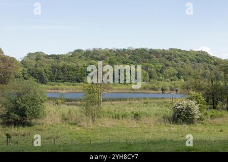 Hawes Water Arnside Westmorland und Furness, ehemals Cumbria England Stockfoto