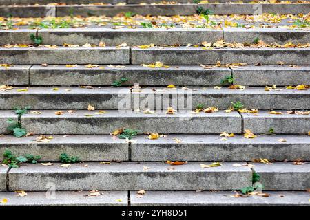 Rutschige Steintreppen, die mit Herbstlaub bedeckt sind, in einer Herbstszene im Freien Stockfoto