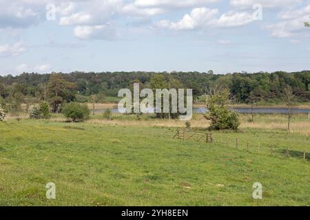 Hawes Water Arnside Westmorland und Furness, ehemals Cumbria England Stockfoto