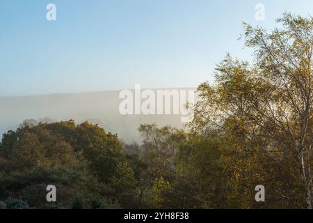 Atmosphärischer Herbstmix aus Birken, Nebel und Moorland im North York Moors National Park in der Nähe des Dorfes Commondale Stockfoto