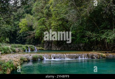 Landschaft von Semuc Champey, ein Naturdenkmal in einem dicht bewaldeten Berg von Alta Verapaz, in der Nähe der Stadt Lanquin, Guatemala mit Wasser Stockfoto