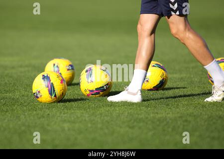 Lisboa, Portugal. November 2024. Estádio Jose Gomes Ball des Spiels während des Liga Portugal Betclic 2024/25 Spiels zwischen Estrela da Amadora und Nacional da Madeira Estádio am 10. November 2024 in Lisboa, Portugal. (Miguel Lemos/SPP) Credit: SPP Sport Press Photo. /Alamy Live News Stockfoto