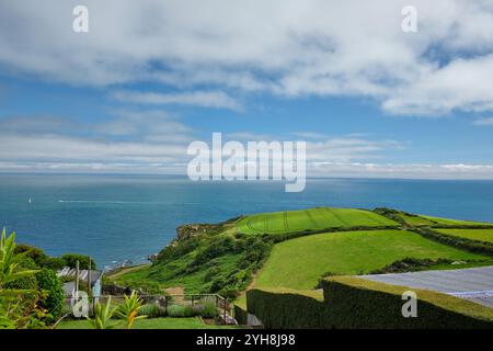 Blick über Felder bis zum Meer am Langerstone Point, am South West Coast Path, nahe East Prawle, Devon, Großbritannien Stockfoto