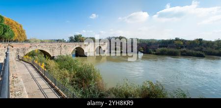 Puente Viejo de Talavera de la Reina Stockfoto