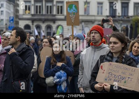 Brüssel, Belgien November 2024. Dieses Bild wurde während eines marsches für Klima, Frieden und soziale Gerechtigkeit aufgenommen, der von Rise for Climate am Vorabend der COP 29 in Brüssel am Sonntag, den 10. November 2024, organisiert wurde. BELGA FOTO NICOLAS MAETERLINCK Credit: Belga News Agency/Alamy Live News Stockfoto