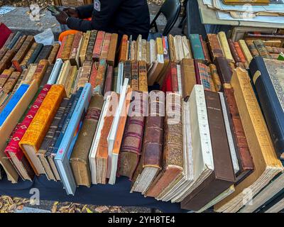 Paris, Frankreich, Nahansicht, alte Bücher auf dem lokalen Flohmarkt, Brocante Stockfoto