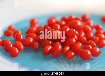 Rote Goji-Beeren auf einem Teller Stockfoto