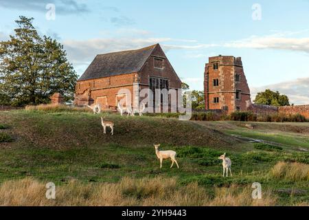 Leicestershire; Bradgate House Ruinen; Bradgate Park; Großbritannien Stockfoto