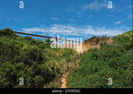 Zwei Wanderer gehen entlang einer Holzbrücke, umgeben von üppigem Grün unter einem weiten Himmel in Ponta da Piedade Stockfoto