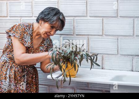 Eine ältere Frau in einem Blumenkleid inspiziert ihre Topfpflanze im Freien. Sie sieht zufrieden aus, stolz auf ihre Sorgfalt und Aufmerksamkeit für ihren Garten. Stockfoto