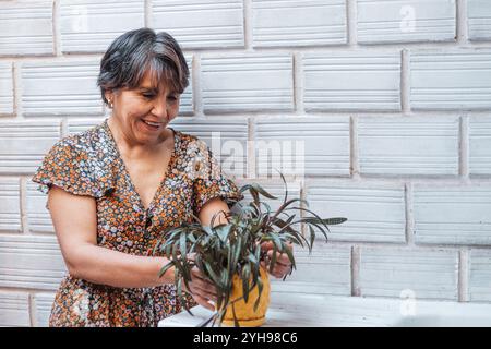 Eine ältere Frau mit kurzen Haaren und einem Blumenkleid untersucht ihre Topfpflanze im Garten. Ihr Ausdruck zeigt Zufriedenheit. Stockfoto