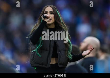 München, Deutschland. November 2024. NFL München Spiel New York Giants - Carolina Panthers am 10.11.2024 in der Allianz Arena in München Florentina Foto: Revierfoto Credit: ddp Media GmbH/Alamy Live News Credit: ddp Media GmbH/Alamy Live News Stockfoto