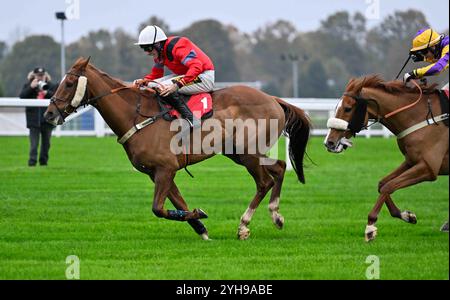 Leicester, Großbritannien. November 2024. Sicherlich gewinnt Red Ridden von Marc Goldstein 3,25 in Sandown, Großbritannien, 11.10.2024, auf der Sandown Racecourse, Leicester Picture by Paul Blake/Alamy Sports News Credit: Paul Blake/Alamy Live News Stockfoto