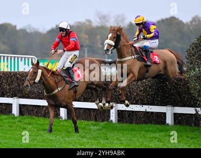 Leicester, Großbritannien. November 2024. Sicherlich ist Red Ridden von Marc Goldstein (weiße Kappe) der letzte vor Copperhead, der von Freddie Gingell geritten wurde, bevor er am 11.10.2024 in Sandown, Großbritannien, 3,25 auf der Sandown Racecourse, Leicester Picture by Paul Blake/Alamy Sports News Credit: Paul Blake/Alamy Live News gewann Stockfoto