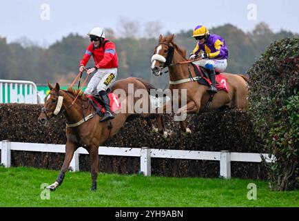 Sandown, Großbritannien. November 2024. Sicherlich ist Red Ridden von Marc Goldstein (weiße Kappe) der letzte vor Copperhead, der von Freddie Gingell geritten wurde, bevor er am 11.10.2024 in Sandown, Großbritannien, 3,25 auf der Sandown Racecourse, Leicester Picture by Paul Blake/Alamy Sports News Credit: Paul Blake/Alamy Live News gewann Stockfoto