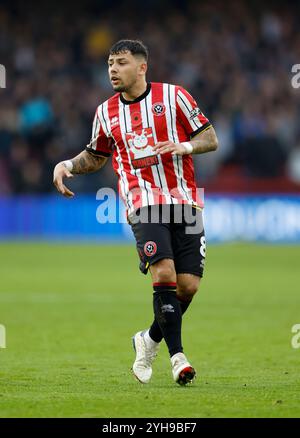 Gustavo Hamer von Sheffield United während des Sky Bet Championship Matches in der Bramhall Lane, Sheffield. Bilddatum: Sonntag, 10. November 2024. Stockfoto