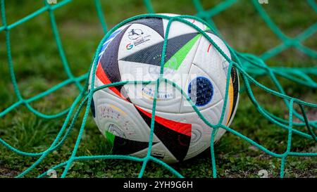 St. Leon Rot, Deutschland. November 2024. Ein Ball der Marke adidas Fussballliebe Pro, Competition Ball liegt im Tor, Tornetz, Offizieller Spielball, offizieller Match Ball, Symbolfoto, Symbolbild, Symbol, Einzelbild, Einzelfoto, Sponsor, Ballsponsor, 10.11.2024, St. Leon-Rot (Deutschland), Fussball, Frauen, REGIONALLIGA SÜD, TSG 1899 HOFFENHEIM U20 - TSV SCHWABEN AUGSBURG, DFB/DFL-VORSCHRIFTEN VERBIETEN DIE VERWENDUNG VON FOTOGRAFIEN ALS BILDSEQUENZEN UND/ODER QUASI-VIDEO. Quelle: dpa/Alamy Live News Stockfoto