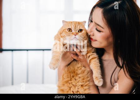 Ein entzückendes Porträt einer jungen Frau und ihrer süßen orangen Scottish Fold Katze, die die hervorhebt Stockfoto
