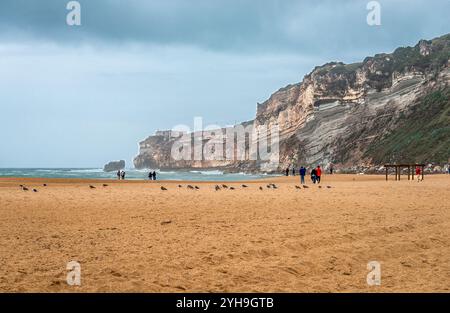 Menschen und Möwen am Strand von Nazare, Portugal, an einem bewölkten Tag. Die Landzunge von Sitio befindet sich im Hintergrund. Stockfoto