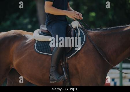 Reiter in schwarzer Kleidung auf einem braunen Pferd im Training Stockfoto