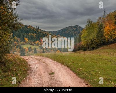 Eine ruhige, unbefestigte Straße schlängelt sich durch einen lebhaften Herbstwald mit farbenprächtigem Laub. Der bewölkte Himmel verleiht diesem pict eine ruhige und malerische Atmosphäre Stockfoto